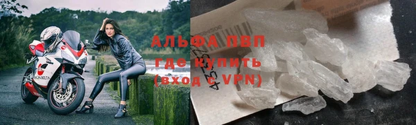 PSILOCYBIN Новокубанск