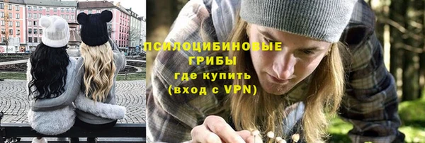 молекула духа Алексеевка