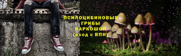 молекула духа Алексеевка